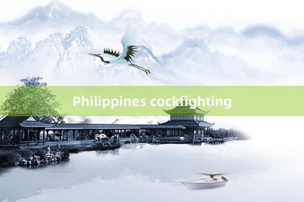 Philippines cockfighting