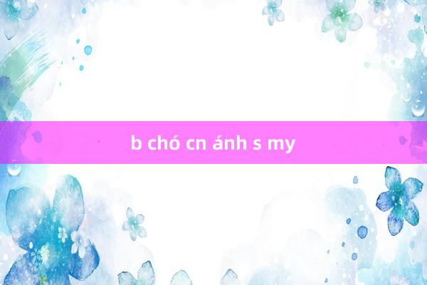 b chó cn ánh s my