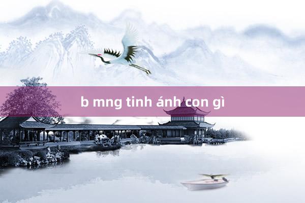 b mng tinh ánh con gì