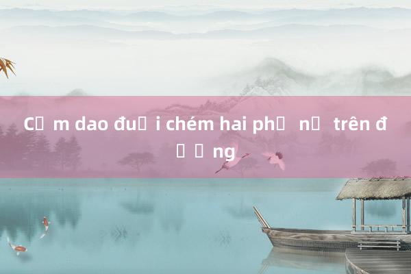 Cầm dao đuổi chém hai phụ nữ trên đường