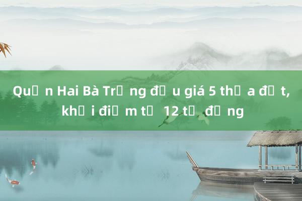 Quận Hai Bà Trưng đấu giá 5 thửa đất， khởi điểm từ 12 tỷ đồng