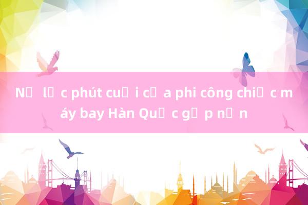 Nỗ lực phút cuối của phi công chiếc máy bay Hàn Quốc gặp nạn